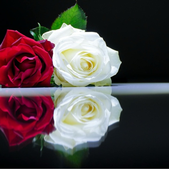 Meet your Posher, Rachael - Picture 1 of 14